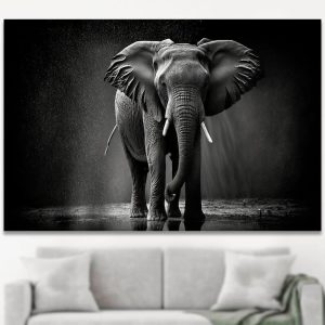 Ilustración Elefante B&W
