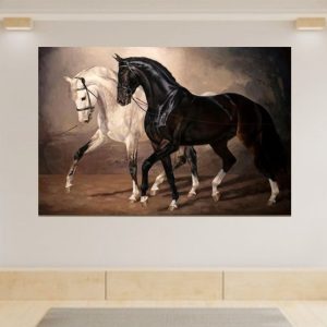 Ilustración Caballos Duo